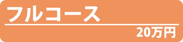 ① フルサポート｜20万円